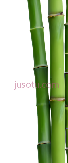 绿色竹PNG