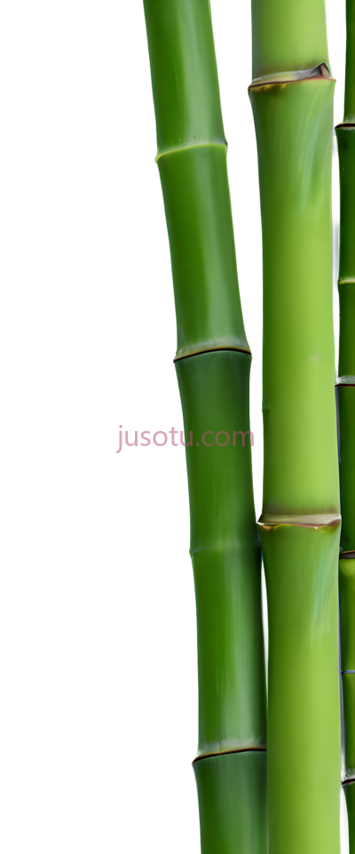 绿色竹, PNG