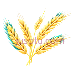 麦穗,荧光色PNG