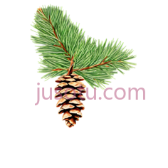 松枝,松果PNG
