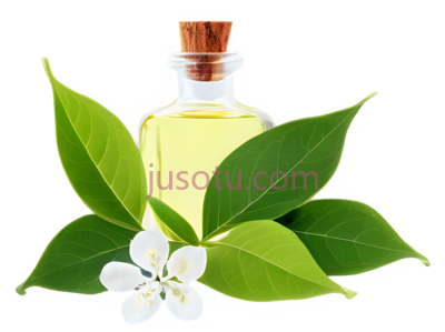 香薰精油,黄色, PNG
