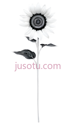 矮小向日葵PNG
