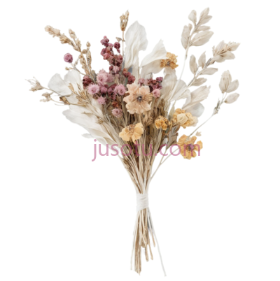 干花束,自然风干,白色,粉色,黄色, PNG