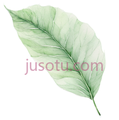 叶子, PNG