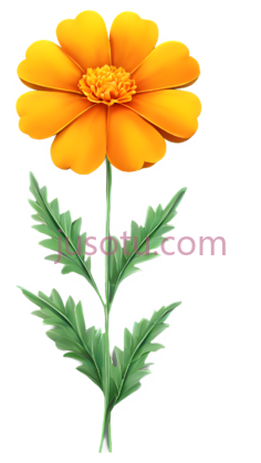 卡通向日葵,光亮花瓣PNG