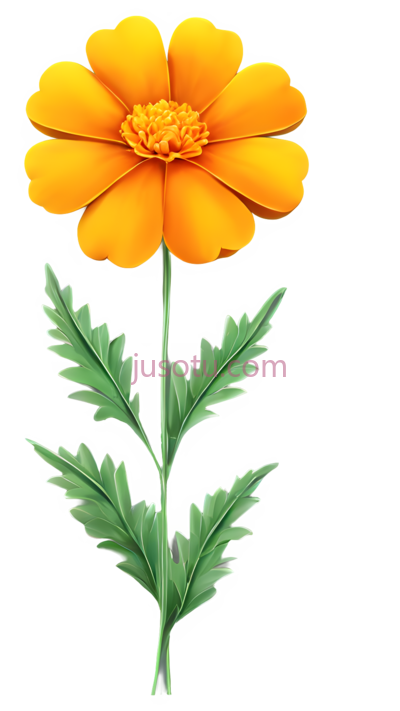 卡通向日葵,光亮花瓣, PNG