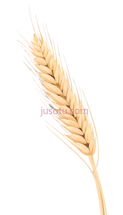 米黄色麦穗, PNG