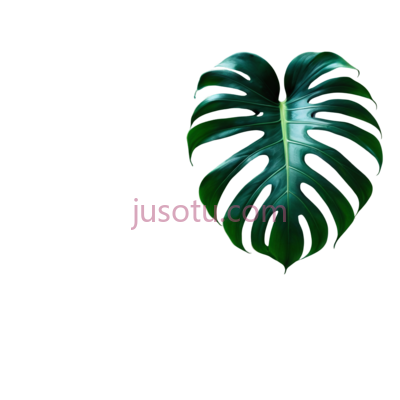 龟背竹叶, PNG