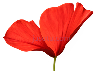 红色花瓣, PNG