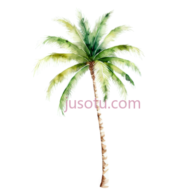 水彩,棕榈树, PNG