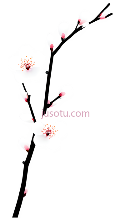 梅花, PNG
