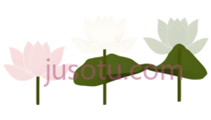 荷花瓣PNG