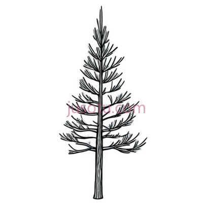 树,素描,白色, PNG