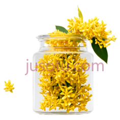 桂花,花瓶PNG