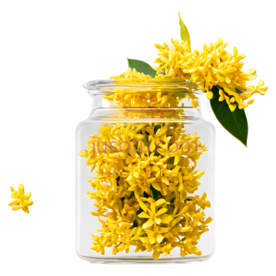 桂花,花瓶, PNG