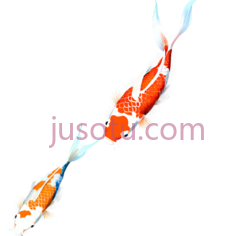 鲤鱼PNG