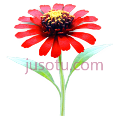 红花, PNG