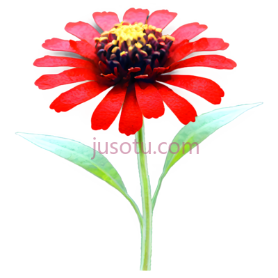 红花, PNG