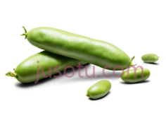 蚕豆PNG