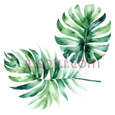 热带叶子PNG