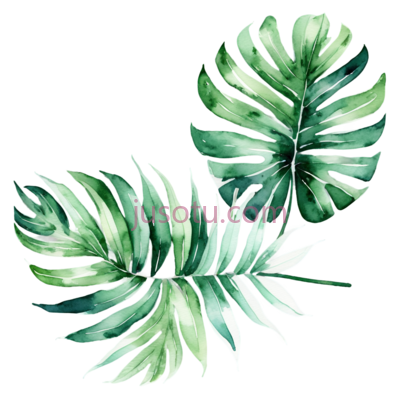 热带叶子, PNG