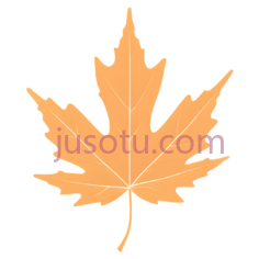 桦树叶PNG