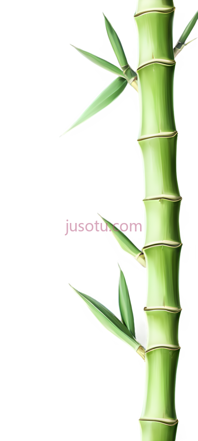 竹笋, PNG