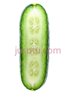 黄瓜切片PNG