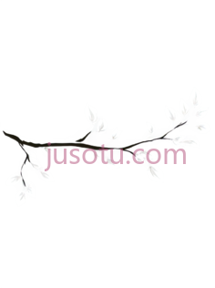 树枝线条,白色PNG