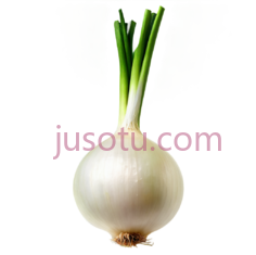 洋葱,剥皮PNG