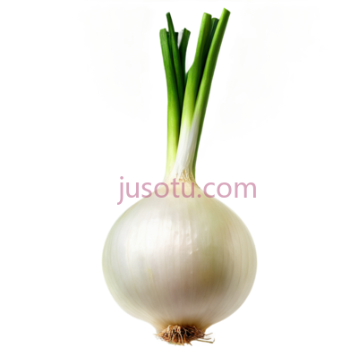 洋葱,剥皮, PNG