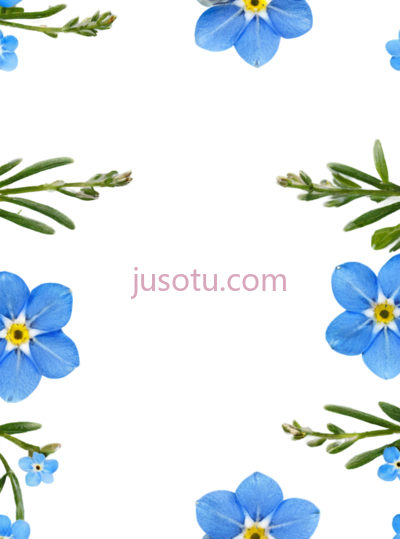 勿忘草,蓝色, PNG