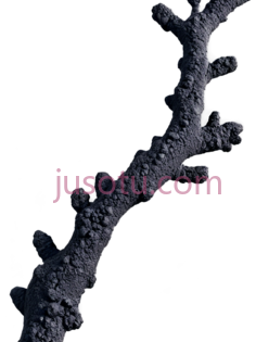 树枝,抽象,深灰色PNG