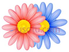 卡通雏菊,多彩PNG