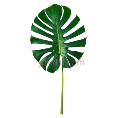 绿萝叶片, PNG