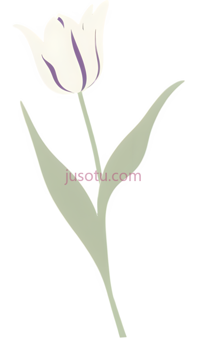 郁金香,插画,白色,紫色, PNG