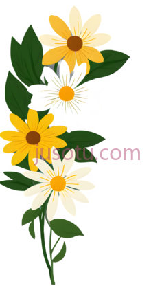 卡通,花朵PNG
