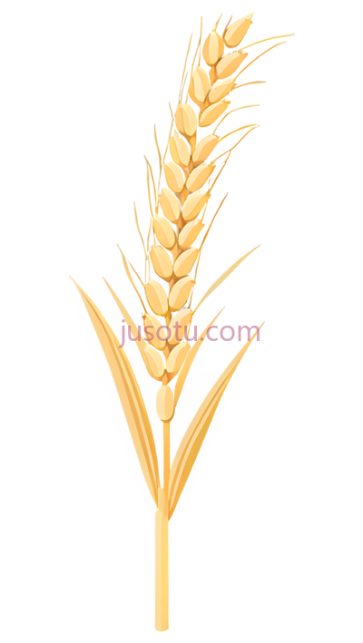 麦穗, PNG