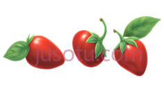 枸杞PNG
