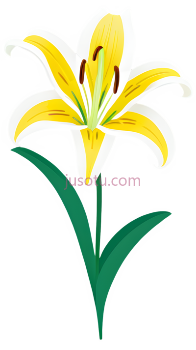 百合,卡通,黄色,绿色, PNG