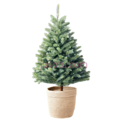 盆栽树,绿色, PNG