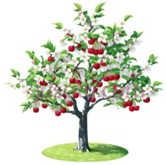 樱桃树PNG