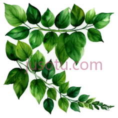 树叶,水彩画,绿色PNG