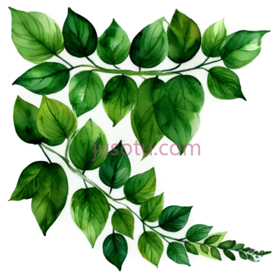 树叶,水彩画,绿色, PNG