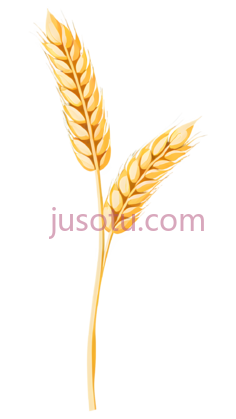 小麦穗PNG