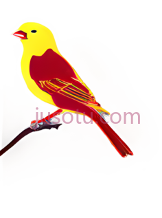 鸟,卡通,黄色,红色PNG