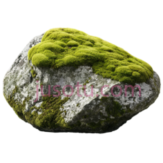 岩石,苔藓PNG