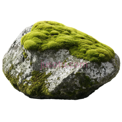 岩石,苔藓, PNG