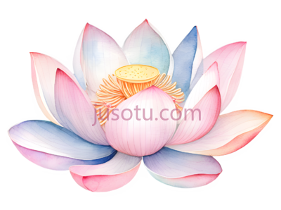 荷花,水彩画, PNG