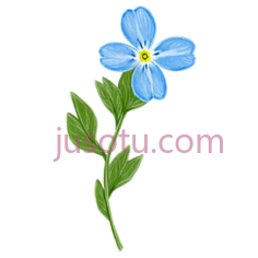 勿忘草,蓝色PNG